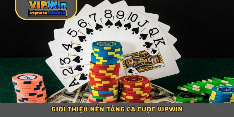 Giới thiệu VIPWIN tổng quát nhất Giới thiệu VIPWIN tổng quát nhất