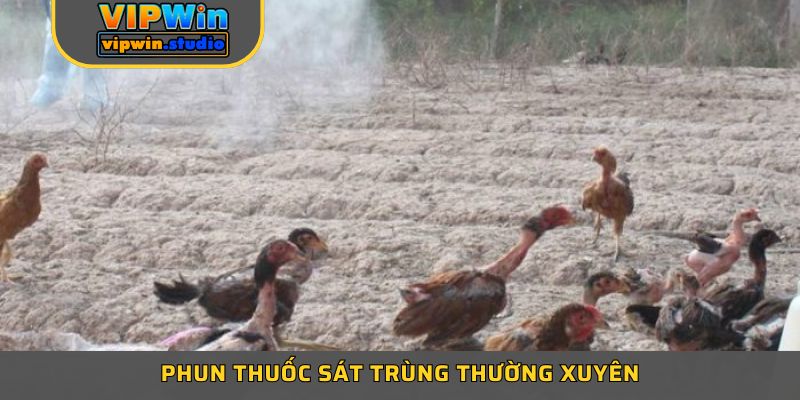 Phun thuốc sát trùng thường xuyên để giữ môi trường trang trại luôn sạch sẽ Phun thuốc sát trùng thường xuyên để giữ môi trường trang trại luôn sạch sẽ