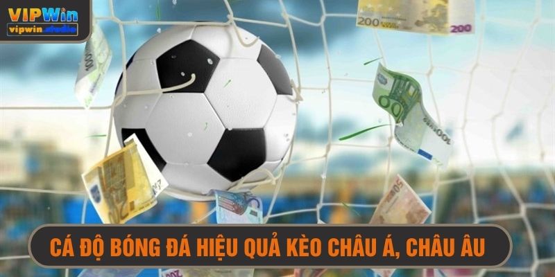 Cách Cá Độ Bóng Đá Hiệu Quả - Chiến Thuật Chuẩn, Khỏi Lo Thua 4 Cách cá độ bóng đá hiệu quả cho kèo châu Á lẫn kèo châu Âu