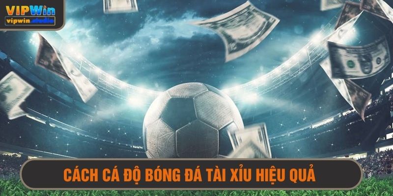 Cách Cá Độ Bóng Đá Hiệu Quả - Chiến Thuật Chuẩn, Khỏi Lo Thua 5 Cách cá độ bóng đá tài xỉu hiệu quả dễ chiến thắng nhất