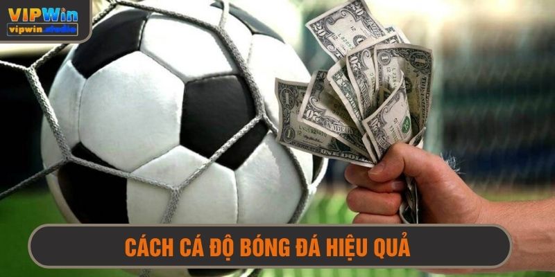 Cách Cá Độ Bóng Đá Hiệu Quả - Chiến Thuật Chuẩn, Khỏi Lo Thua 1 cách cá độ bóng đá hiệu quả