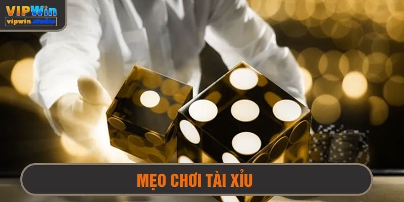 Mẹo Chơi Tài Xỉu Không Dễ Bị Thua? Bí Kíp Từ Cao Thủ Dành Cho Bạn 1 mẹo chơi tài xỉu