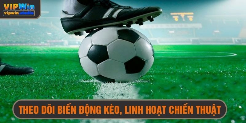 Kinh Nghiệm Chơi Cá Độ Bóng Đá - Bí Kíp Thắng Lớn Không Thể Bỏ Lỡ 5 Theo dõi biến động tỷ lệ cược để linh hoạt chiến thuật