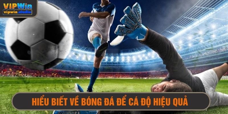 Kinh Nghiệm Chơi Cá Độ Bóng Đá - Bí Kíp Thắng Lớn Không Thể Bỏ Lỡ 2 Kinh nghiệm chơi cá độ hay là cần có kiến thức sâu về bóng đá
